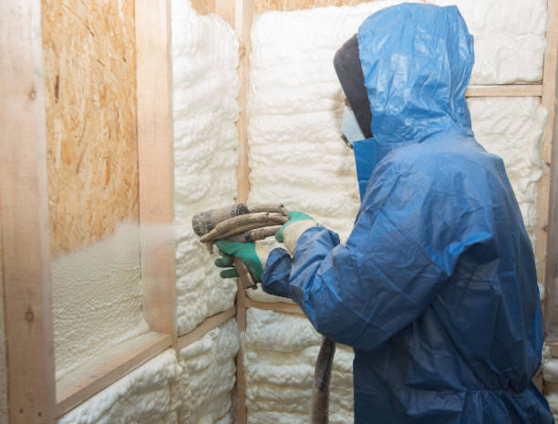 Best Radiant Barrier Insulation  in Stevenson Ranch, CA